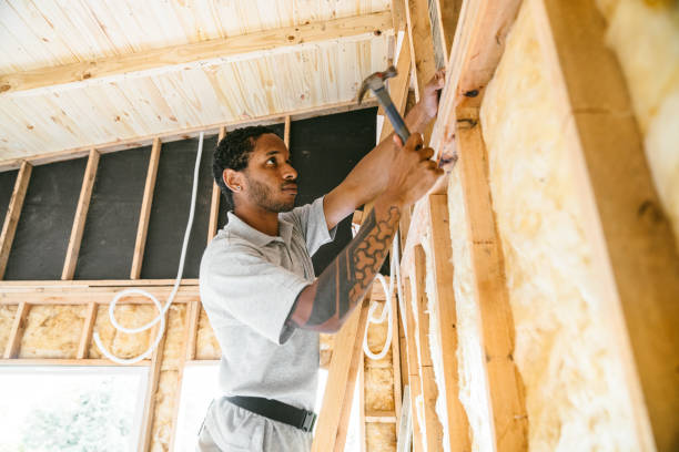Best Soundproof Insulation Installation  in Kosciusko, MS