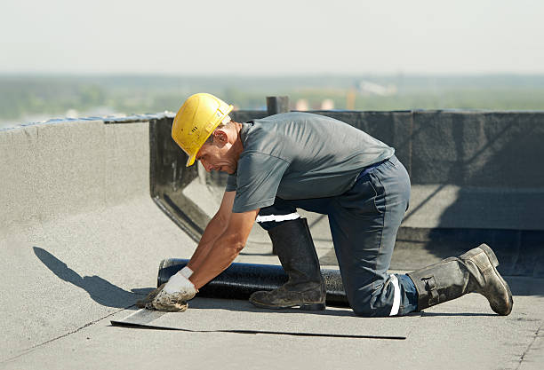 Best Professional Insulation Contractor  in Kosciusko, MS